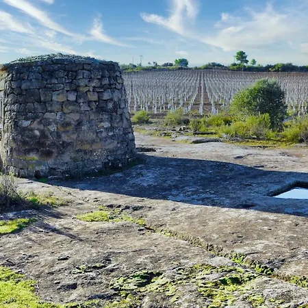 La Casa Del Lino *