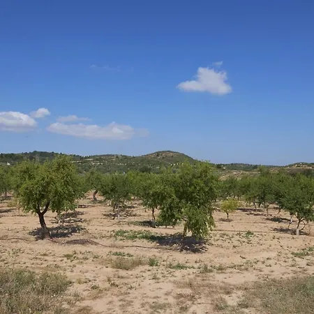 La Casa Del Lino Σπίτι διακοπών Torrebeses